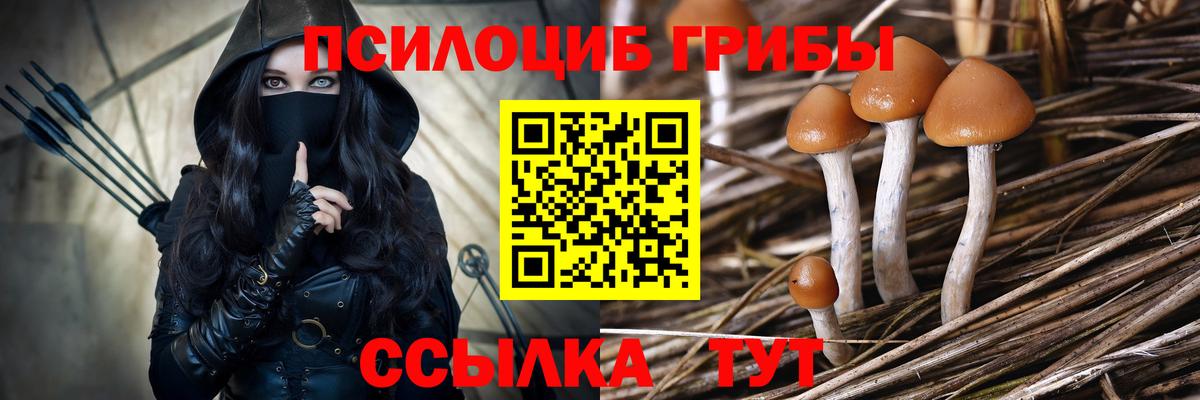 Архангельск  Псилоцибиновые грибы GOLDEN TEACHER  Вход с VPN 